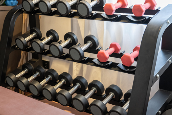top-10-best-dumbbell-sets-with-rack