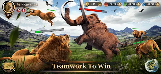 Screenshot image