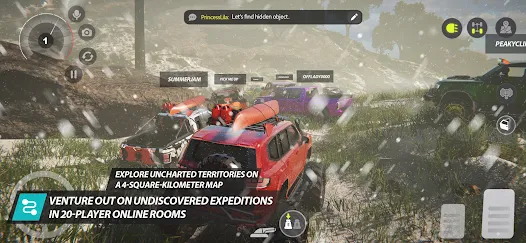 Screenshot image