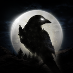 NIGHT CROWS Codes - 01/2026