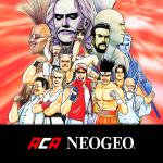 FATAL FURY SPECIAL ACA NEOGEO Codes - 02/2026